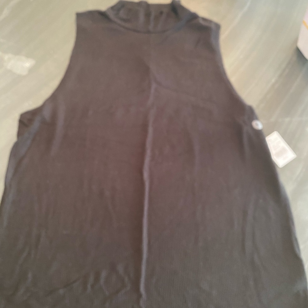 American Eagle Sleeveless Turtleneck